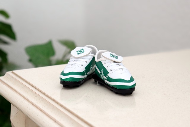 涯充满了辉 涯充满了辉