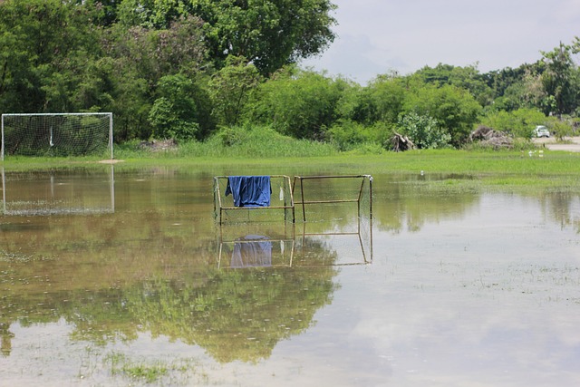 外援的价值 外援的价值