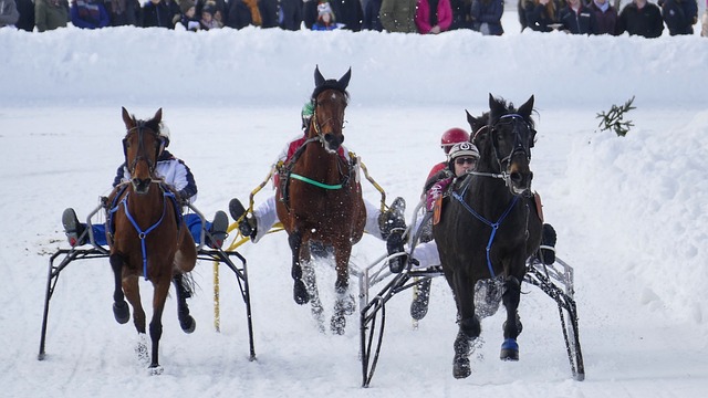 有亮眼表现 有亮眼表现