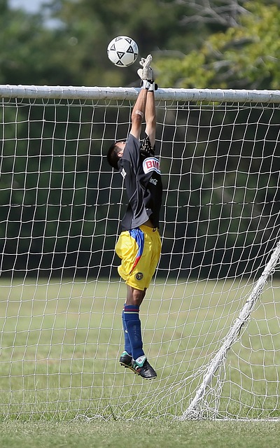 新的基调 新的基调