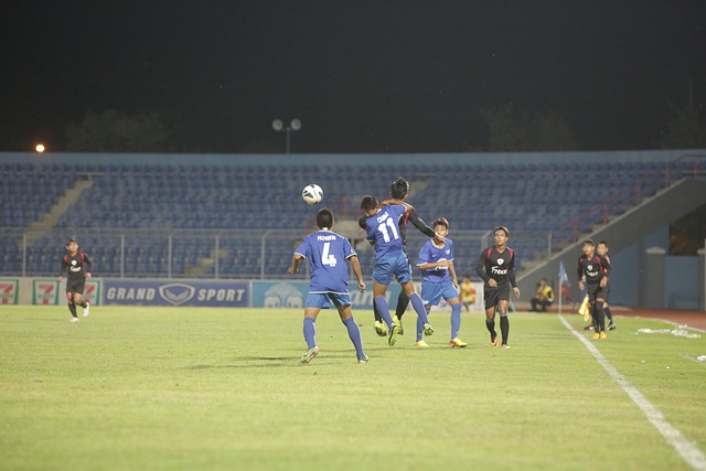 东泰山确保 东泰山确保