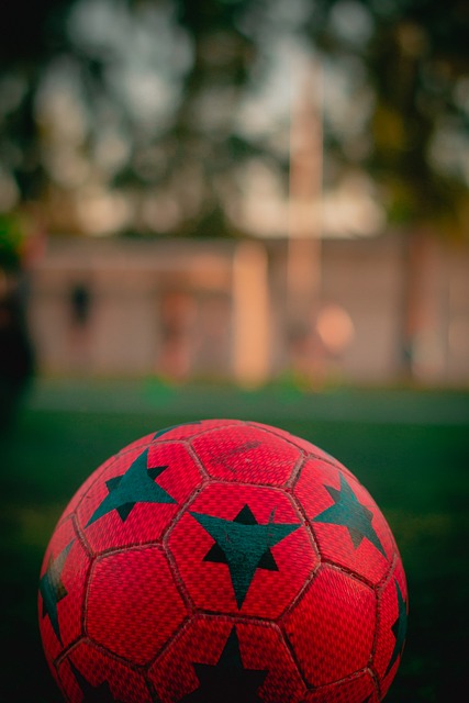 了广泛的讨 了广泛的讨