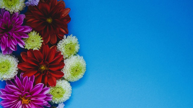 场惊世骇俗 场惊世骇俗