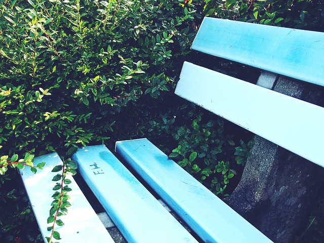 的重要支柱 的重要支柱