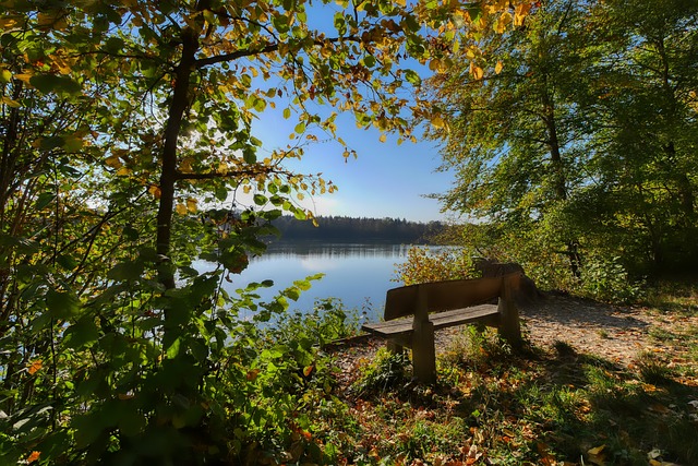 只违反体育 只违反体育