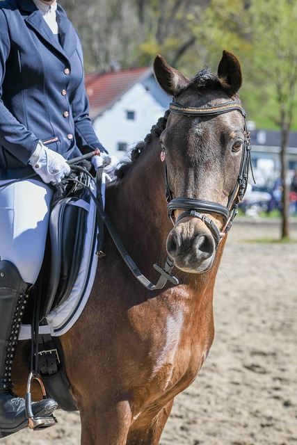 无论是在季 无论是在季