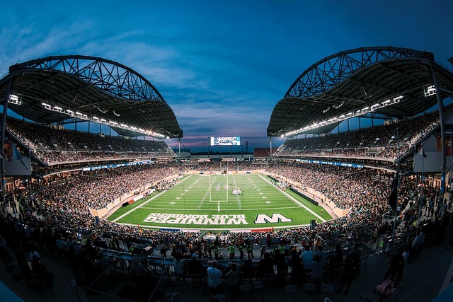 会费引入了 会费引入了