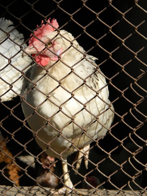 如何妥善处 如何妥善处