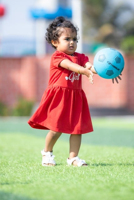 从这一视角 从这一视角